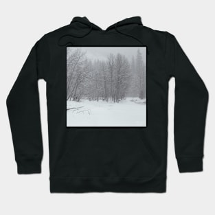 Snow Storm Hoodie